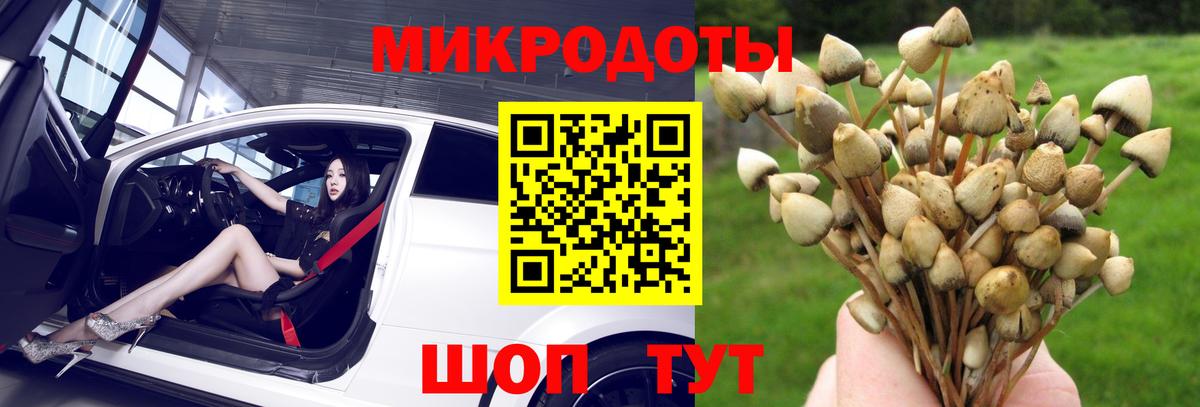 Аргун  магазин продажи наркотиков  Вход с VPN  Псилоцибиновые грибы прущие грибы 